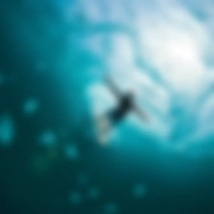 An underwater perspective of a surfer diving beneath the waves