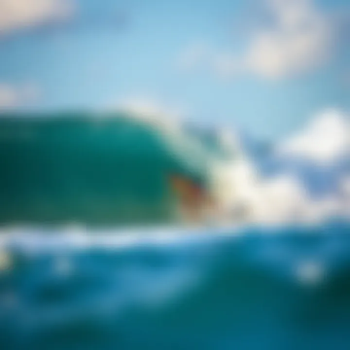 Surfing in Maui for Beginners Summary Surfing in Maui for Beginners Summary