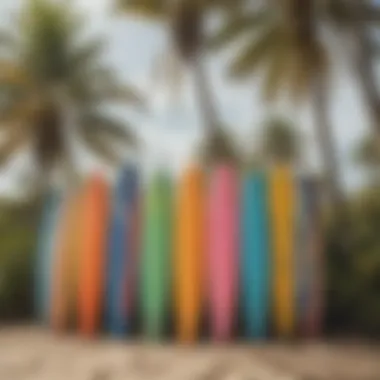 Colorful surfboards displayed on a beach with palm trees in the background