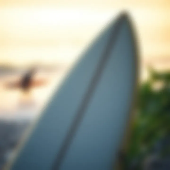Notable The Comprehensive Guide to Wave Surfboards: Design, Selection, and Techniques