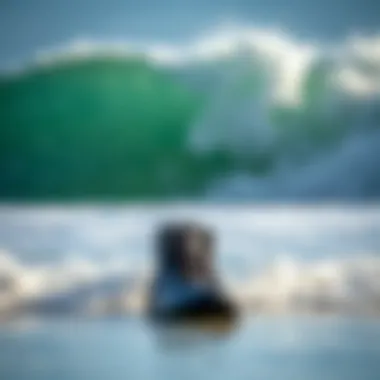The Essential Guide to the Best Surfing Booties Summary The Essential Guide to the Best Surfing Booties Summary