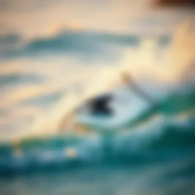 The Evolution and Appeal of Boogie Boards with Motors Summary