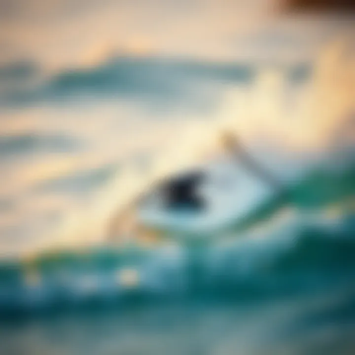 The Evolution and Appeal of Boogie Boards with Motors Summary