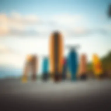 Group of diverse electric skateboards showcasing different designs