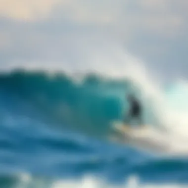 Notable The Journey of Plastic: From Land to Ocean
