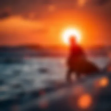 Sunset Surfing Preparation Sunset silhouette of a surfer preparing to ride