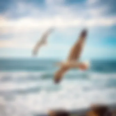 Seagulls flying gracefully above the coastline