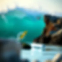 Understanding Billabongs: A Comprehensive Exploration Introduction