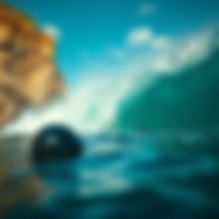 Understanding Billabongs: A Comprehensive Exploration Summary Understanding Billabongs: A Comprehensive Exploration Summary