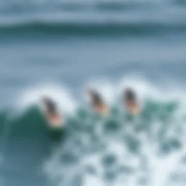 Group Ride An aerial view of a group of foil surfers riding waves together