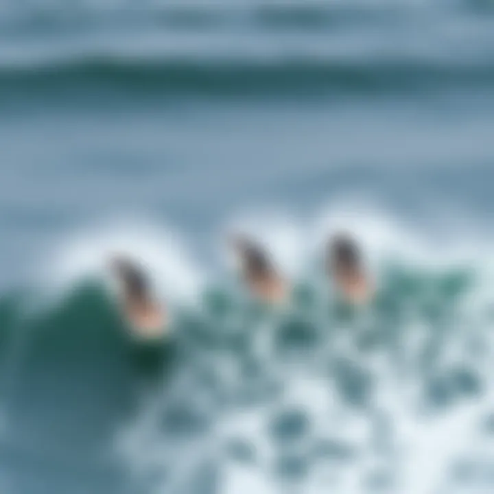 Group Ride An aerial view of a group of foil surfers riding waves together