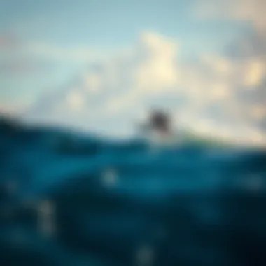 Impact of Climate Change on Oceanic Life Climate change effects on ocean life