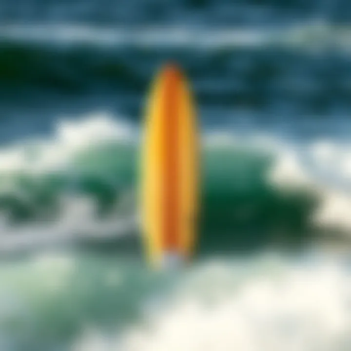 Anatomy of a Surfboard Explained Diagram highlighting surfboard anatomy