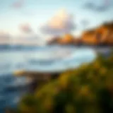Understanding Surfboards: An In-Depth Exploration Introduction