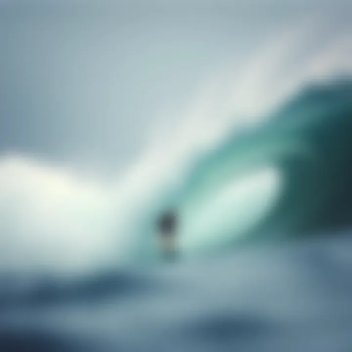 Notable Understanding the Cost of Surfline Premium: An In-Depth Analysis