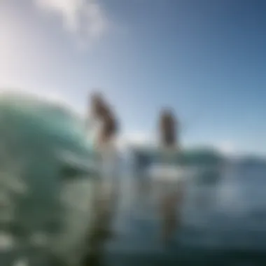 Visual representation of paddle boarders using different fin styles in action