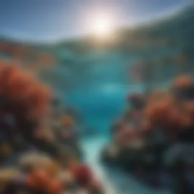 Vibrant Coral Reef Ecosystem A stunning underwater view of a coral reef thriving with diverse marine life.
