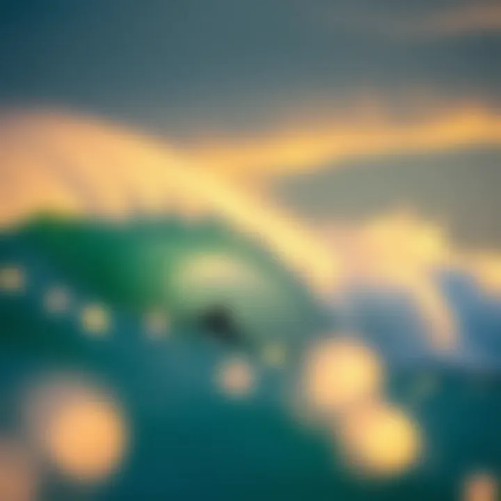 Understanding Wave Height Forecasts in Surfing Summary Understanding Wave Height Forecasts in Surfing Summary