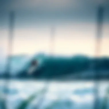 Understanding Wind Direction and Its Impact on Surfing Introduction Understanding Wind Direction and Its Impact on Surfing Introduction