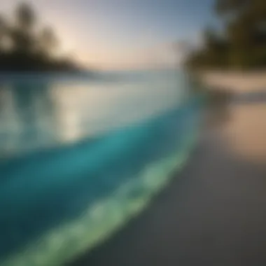 Close-up of the bioluminescent water along the shoreline of Vaadhoo Island.