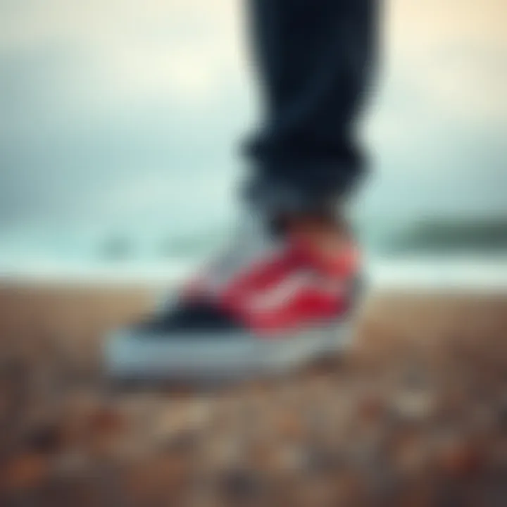 Vans Skating Shoes: A Detailed Exploration Introduction Vans Skating Shoes: A Detailed Exploration Introduction