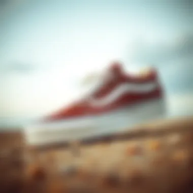 Vans Skating Shoes: A Detailed Exploration Summary Vans Skating Shoes: A Detailed Exploration Summary