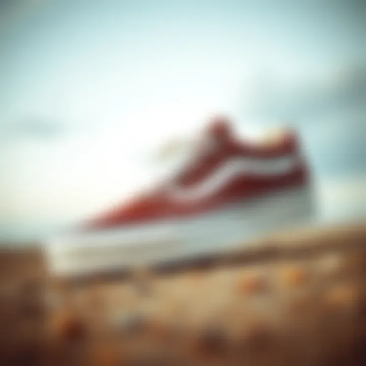 Vans Skating Shoes: A Detailed Exploration Summary Vans Skating Shoes: A Detailed Exploration Summary