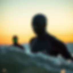 Wetsuit World: An In-Depth Exploration of Functionality and Innovation in Surfwear Introduction