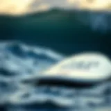 Overview of the Zap Medium Wedge Skimboard design