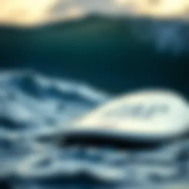 Overview of the Zap Medium Wedge Skimboard design